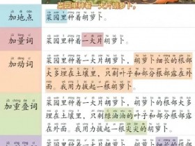 语文晨读扩句练习参考:2026二-三年级语文晨读扩句训练题二年级上册扩句大全可打印